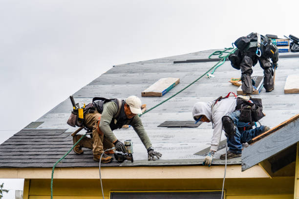 Professional Storm Damage Roof Repair technician working in Brooksville, MS